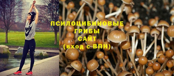 крисы Балахна