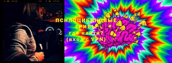 крисы Балахна