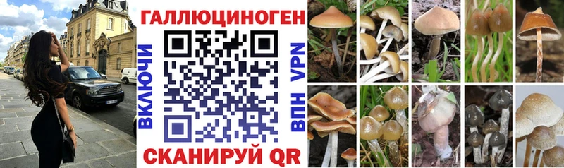 MEGA вход  Балтийск  Псилоцибиновые грибы GOLDEN TEACHER  купить  